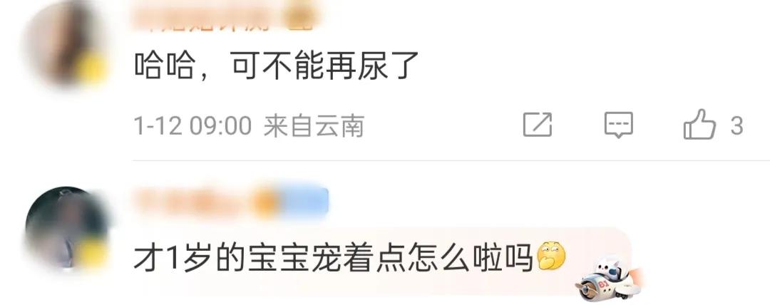 警犬被通报:上班死气沉沉到处尿尿