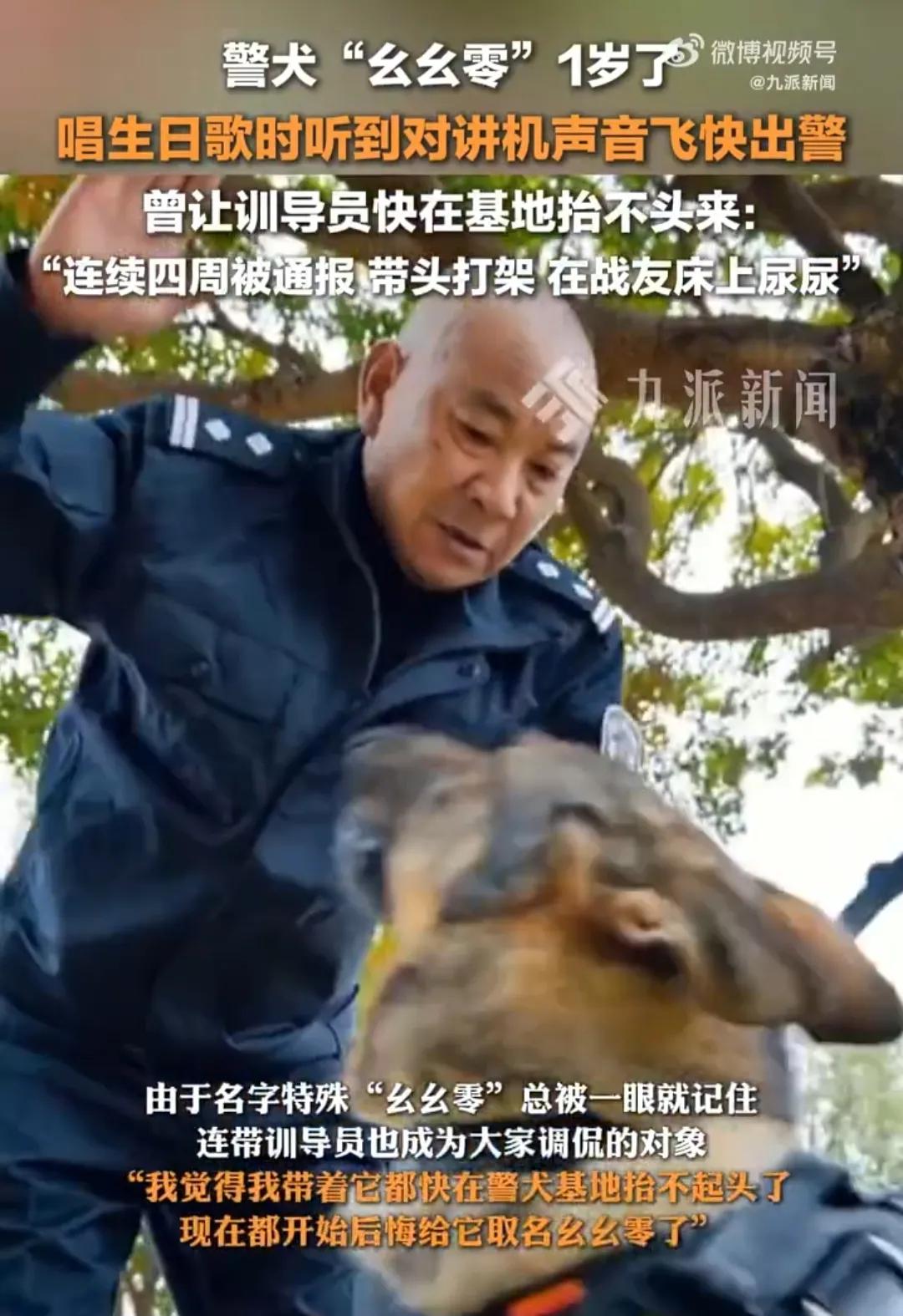 警犬被通报:上班死气沉沉到处尿尿