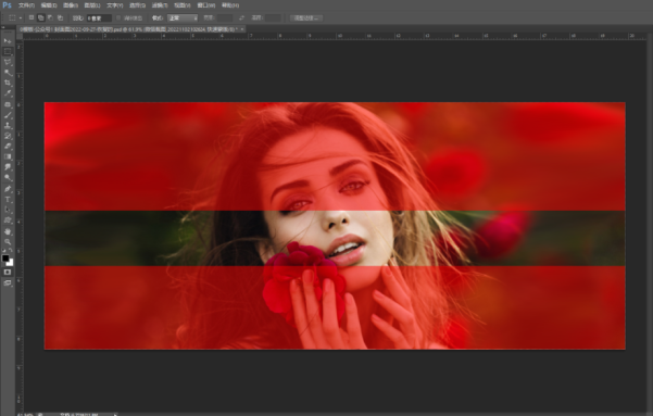 Photoshop2024制作图片撕裂效果的方法第3步