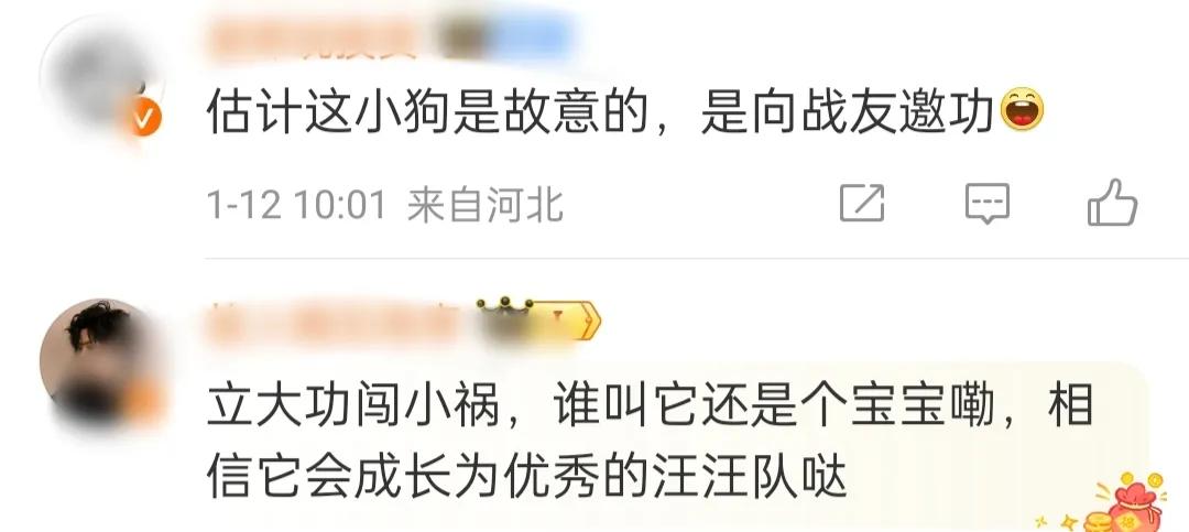 警犬被通报:上班死气沉沉到处尿尿